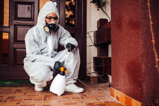 Reliable Wasp Removal contractor in Lake Como, NJ by Show Me Pest Control